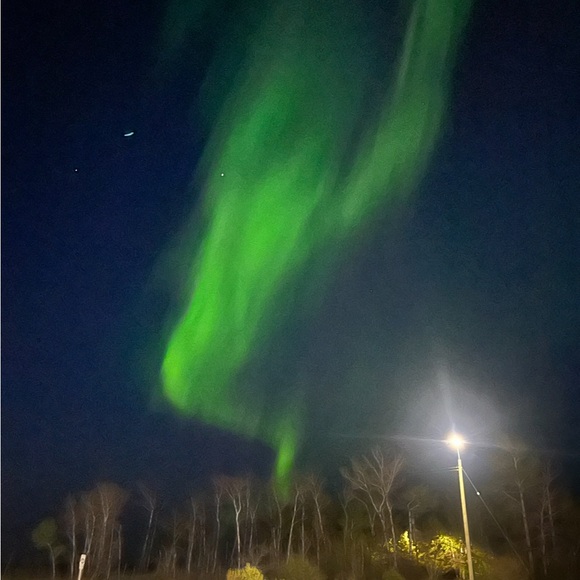 Free gift every purchase - Picture 4 of 5